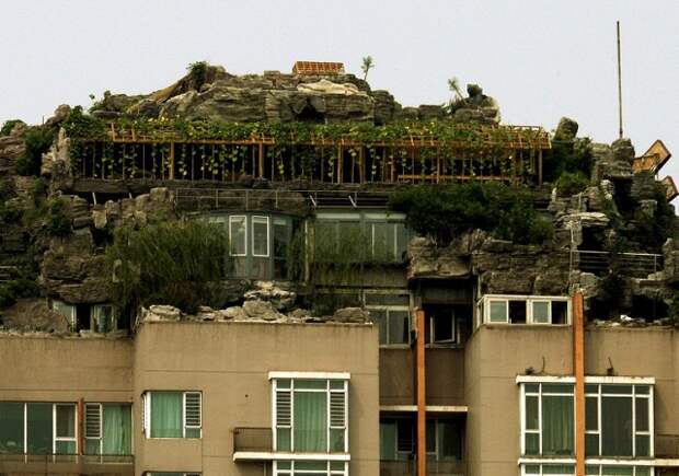 Китаец выкупил пентхаус в 26-этажном доме. Постепенно он начал обустраивать территорию: на крыше появились искусственные камни, настоящая трава и деревья…