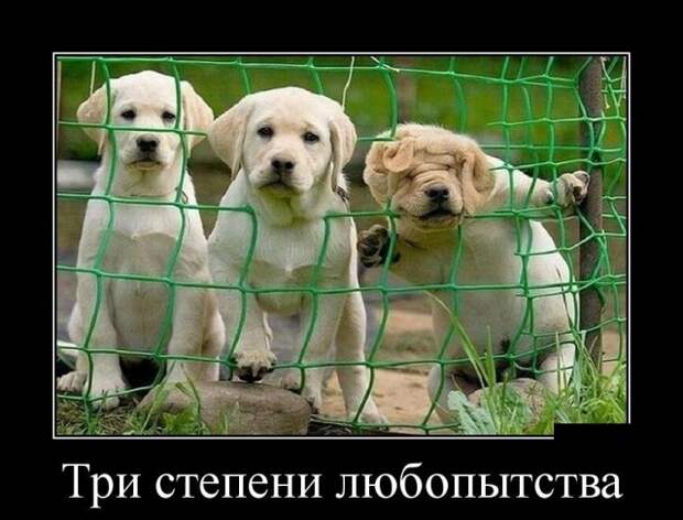 Демотиваторы (30 фото)