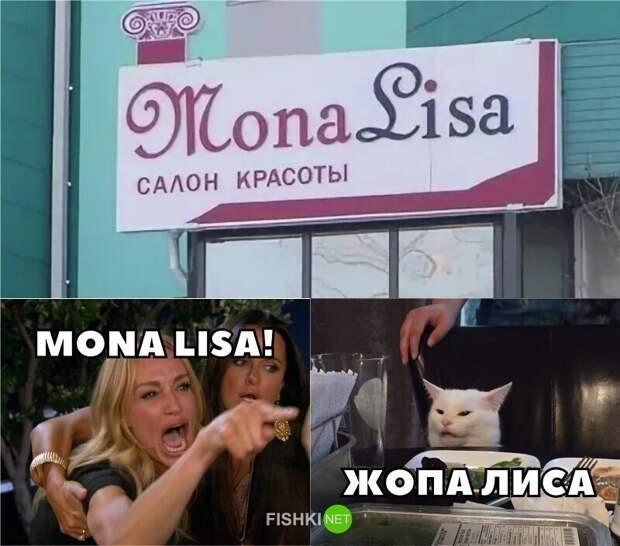 И снова всё опровергающий котик И снова всё опровергающий котик