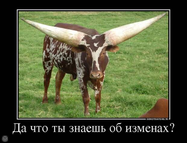 Деградируй правильно! 15