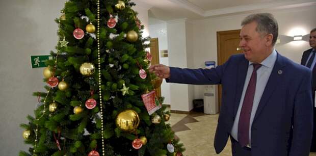 Награды, отчёт Росреестра и «Ёлка желаний»: депутаты АКЗС проведут «мини-сессию» перед Новым годом