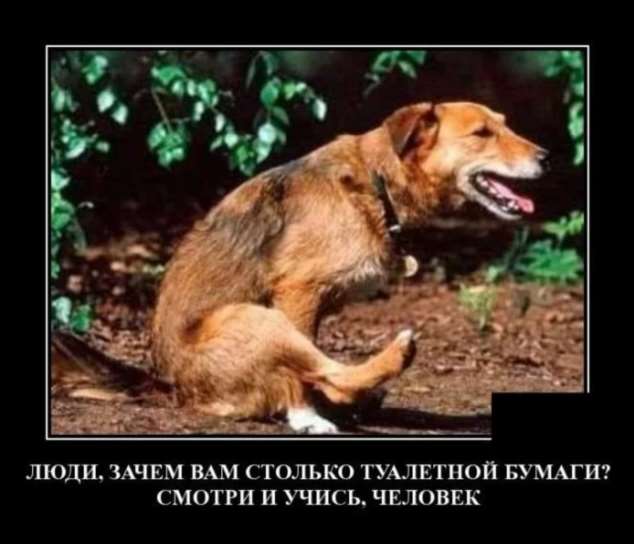 Прикольные демотиваторы с надписями. Подборка chert-poberi-dem-chert-poberi-dem-07090424072020-14 картинка chert-poberi-dem-07090424072020-14