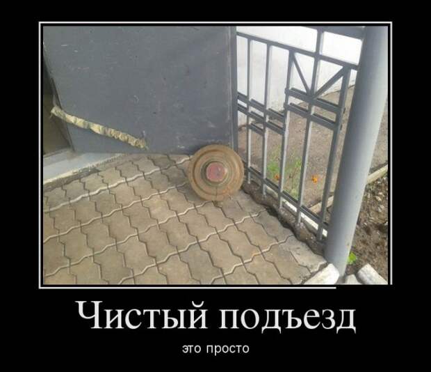 Демотиваторы (30 фото)