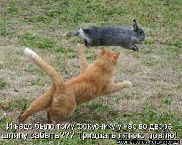 Мысли вслух :)