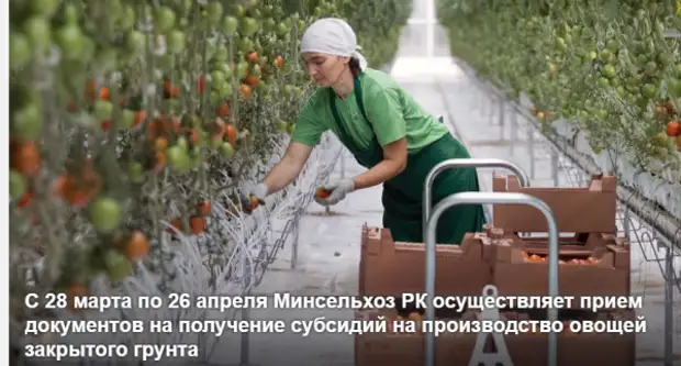 Крым и Севастополь готовятся к богатому урожаю 2