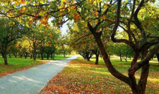 В Воронеже всю неделю будет тепло и ясно В Воронеже всю неделю будет тепло и ясно