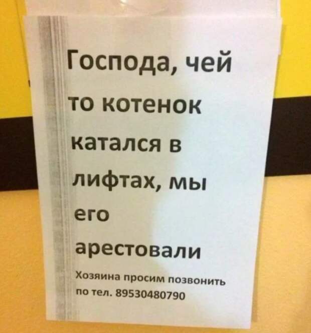 Угарная подборка объявлений из России, креативности которых позавидовали бы даже в США.