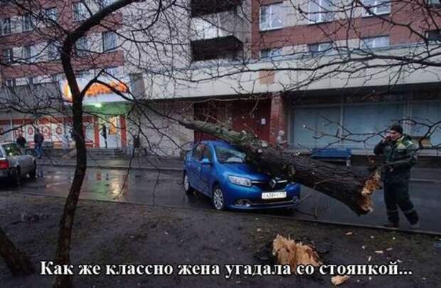 Автомобильный мир в прикольных картинках (19 фото)