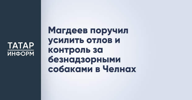 Магдеев поручил усилить отлов и контроль за безнадзорными собаками в Челнах