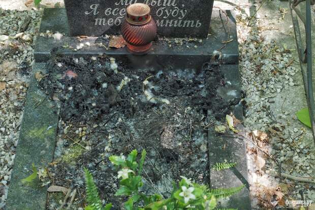 Пух на Серафимовском кладбище укрывает обгоревшие могилы. А МЧС уже тушит новый пожар