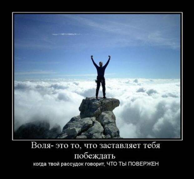 новые демотиваторы со смыслом