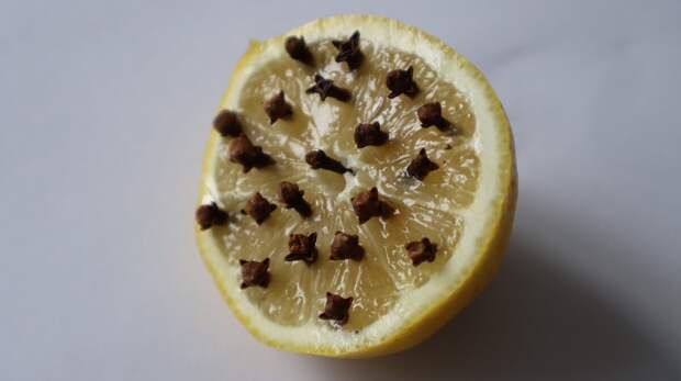 Как избавиться от мух в доме. Народные и эффективные средства