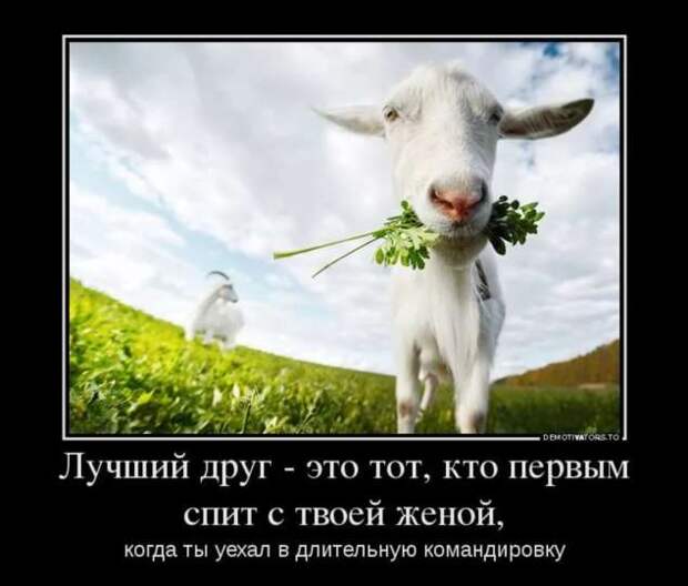 Прикольные демотиваторы с надписями. Подборка chert-poberi-dem-chert-poberi-dem-23300901072020-8 картинка chert-poberi-dem-23300901072020-8