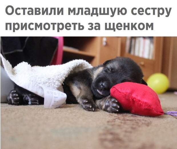 Больше, чем просто фото Больше, чем просто фото