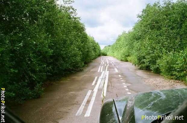 Автоприколы (48 фото) Автоприколы (48 фото)