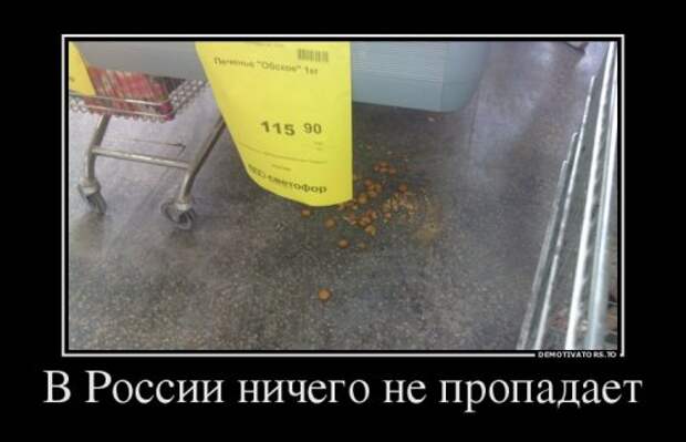 Новые демотиваторы (13 шт)