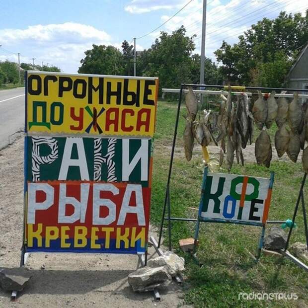 Прикольные надписи и объявления