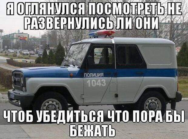 Прикольные картинки Прикольные картинки