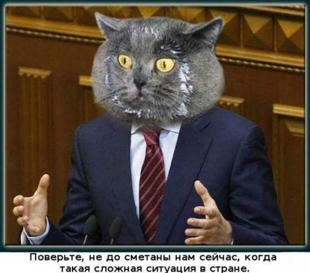 Смешная галерея фотоприколов  # 70