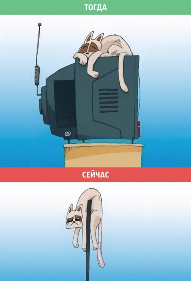 телевизор