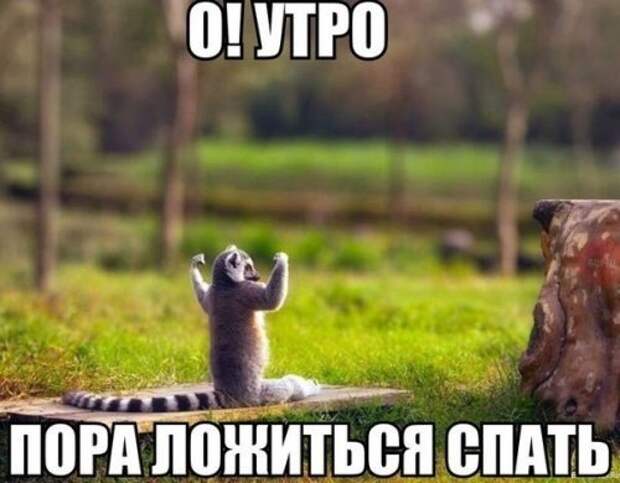 Прикольные фотомемы (24 шт)