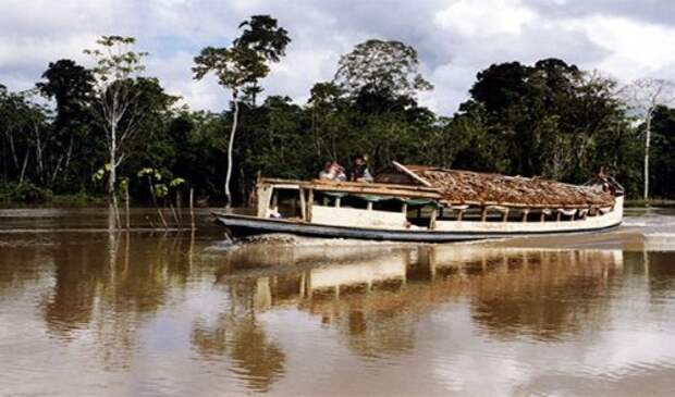 Топ-25: Невероятные факты про Амазонку, которые делают её уникальнейшим местом на Земле