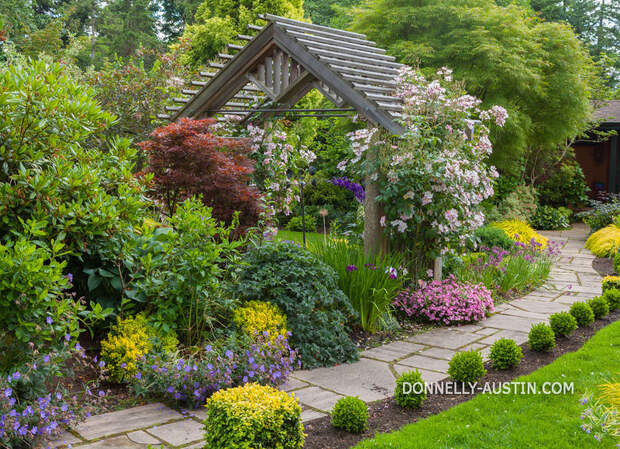 Vashon Island, WA: Stone pathway lined with boxwood and summer perrenials and rose pergola, Froggsong garden in summer