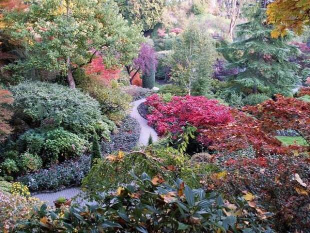Место чарующее своей красотой и живой природой - The Butchart Gardens. 