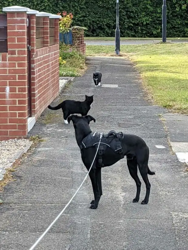 ���� � ������� ��� �������� ���������� � ���� ��������