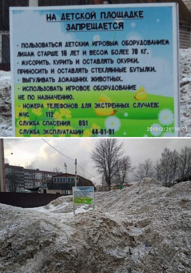 Подборка картинок. Дневной выпуск (24 фото)