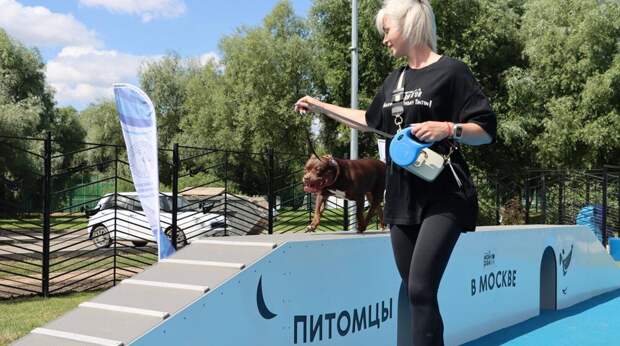 В Москве подготовили цикл мероприятий для собак и их владельцев - Собянин