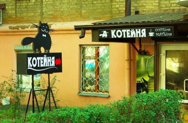 Гениальные объявления, на которые невозможно не обратить внимание