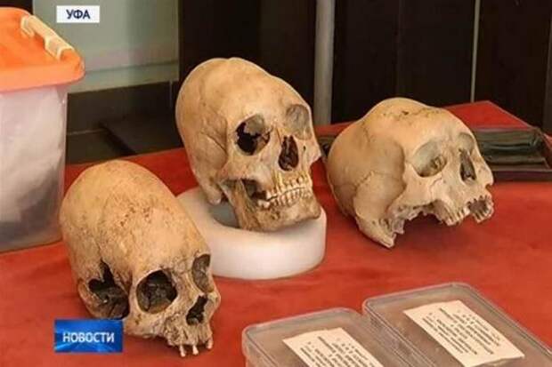 В Уфу доставили череп аркаимской инопланетянки