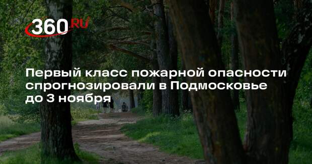 Первый класс пожарной опасности спрогнозировали в Подмосковье до 3 ноября