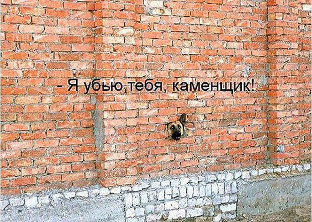 1248340796_podpisi_41