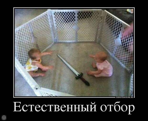 Просветление - это сюда! 18