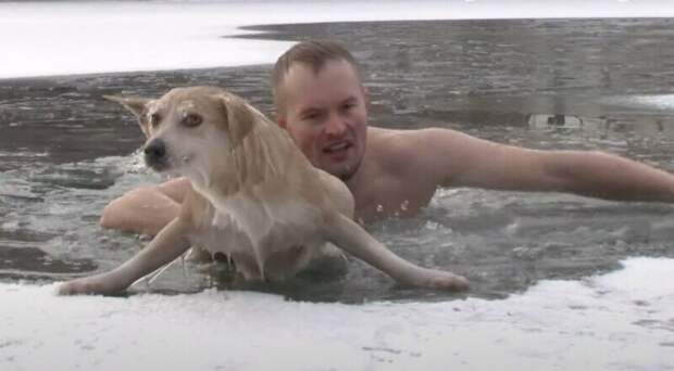 А вот другое недавнее спасение: журналист бросился в ледяную воду и спас собаку из проруби