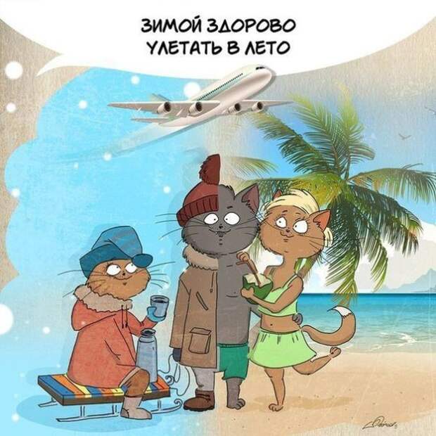 10 доказательств того, что зима ничем не хуже лета зима, лето