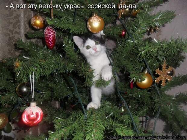Мысли вслух - Ожидание Нового года