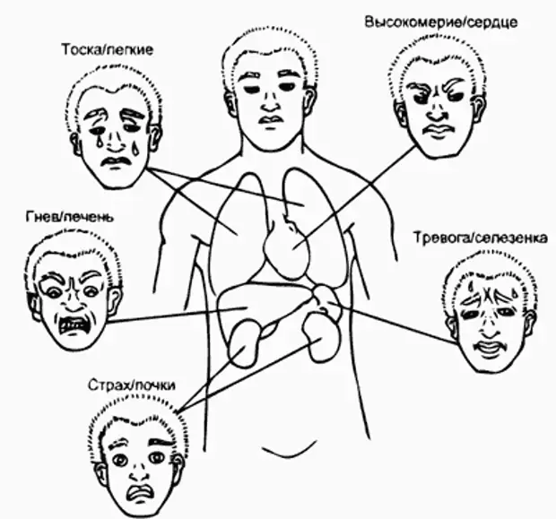 Схема проявление эмоций