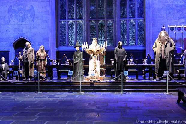 Музей маленького мальчика в очках HarryPotter 7 Музей маленького мальчика в очках