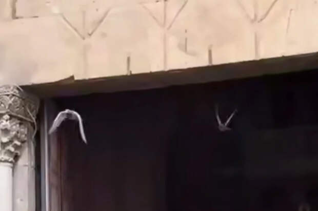 Появились кадры открытия врат храма Гроба Господня в Иерусалиме