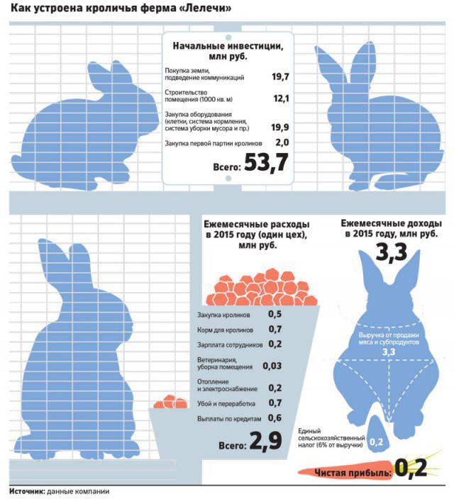 Как это работает: сколько приносит кроличья ферма бизнес, животные, кролики, ферма