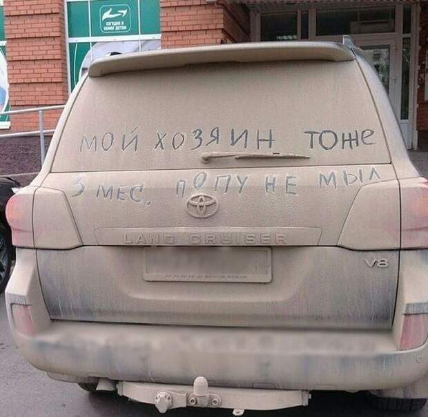 Прикольные картинки. Дневной выпуск (50 фото)