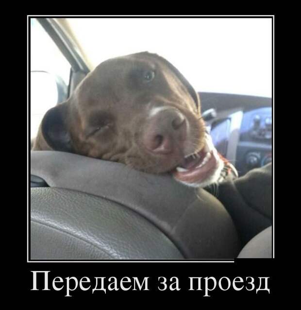 Подборка демотиваторов демотиваторы, юмор