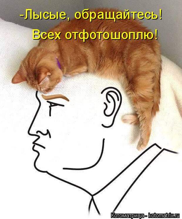 Котоматрица: -Лысые, обращайтесь! Всех отфотошоплю!