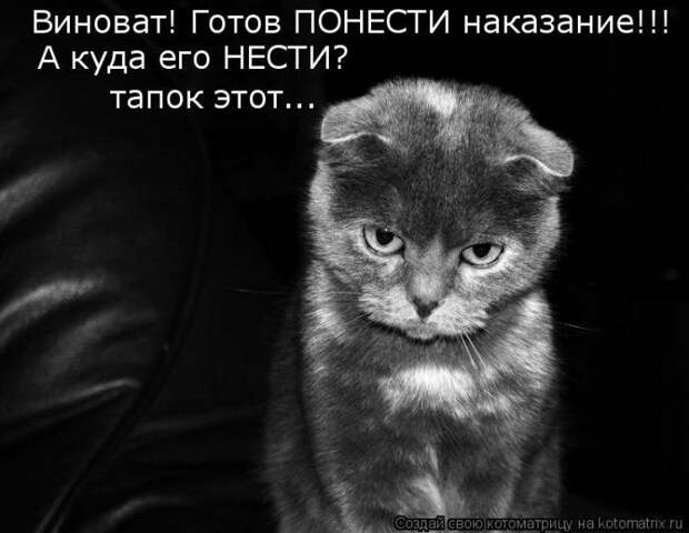 Мысли вслух :)