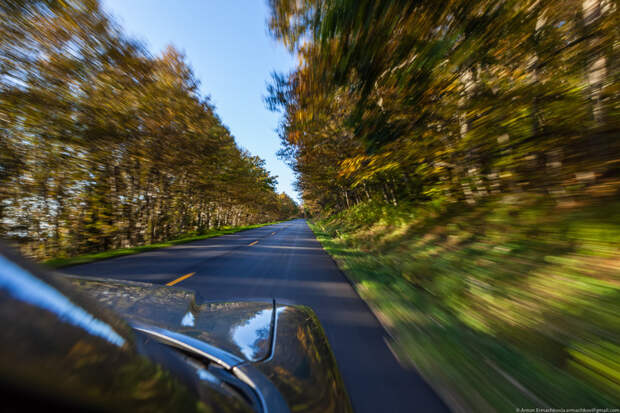 Мчим: Blue Ridge Parkway, авто, автопутешествие, америка, дороги, сша