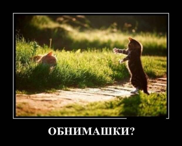 Демотиваторы прикольные опять появились.