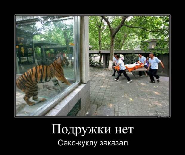Свежие прикольные демотиваторы (18 шт)
